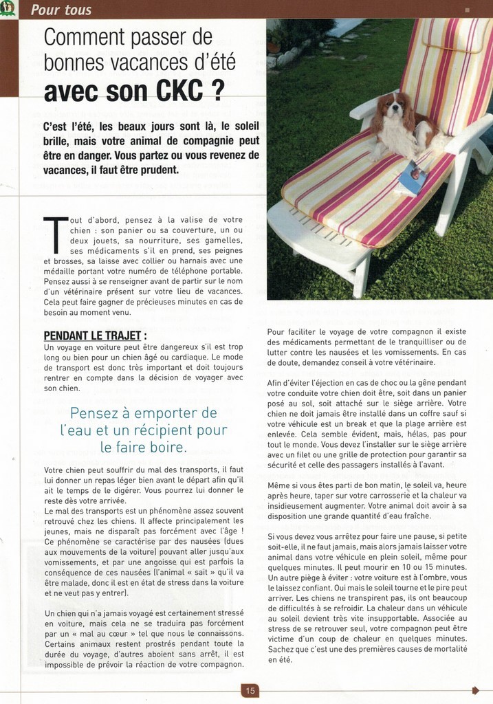 Partir en vacances avec son Cavalier