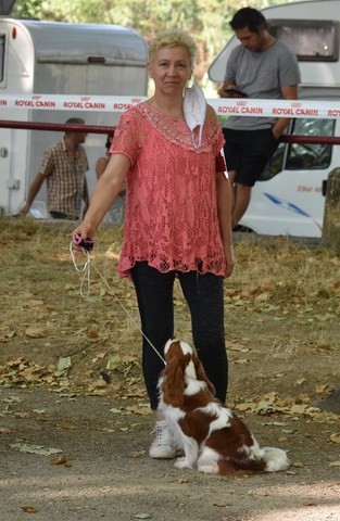 Pimm's des Senteurs de Provence, lisse cavalier king charles blenheim